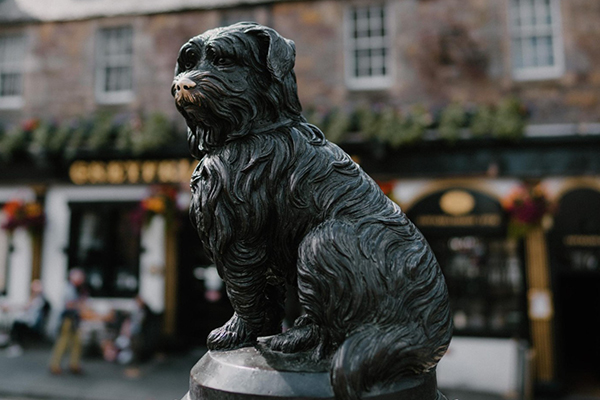 Greyfriars Bobby Kimdir? Sahibinin Mezarını 14 Yıl Boyunca Terk Etmeyen Sadık Köpeğin Gerçek Hikâyesi